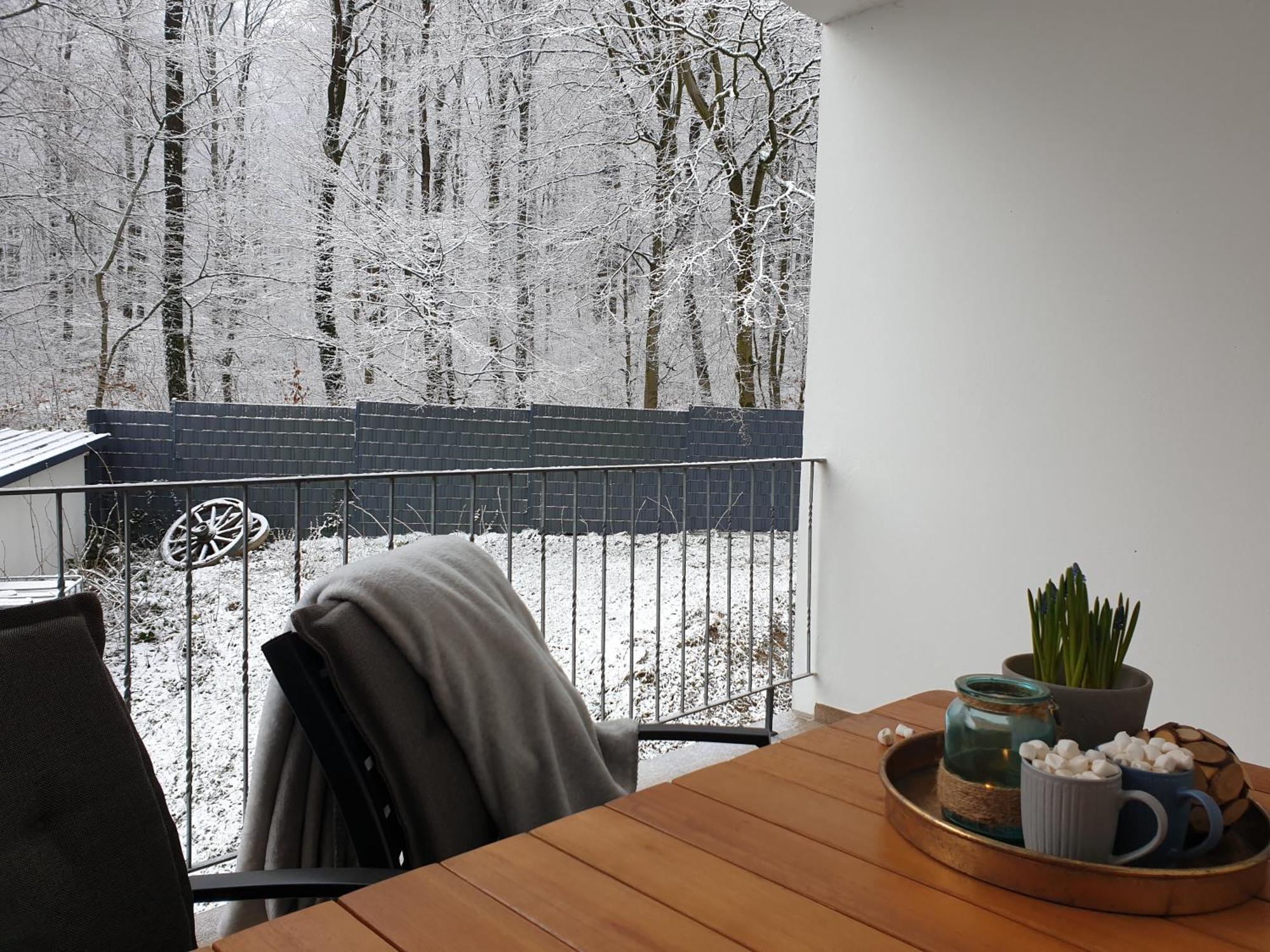 Fewo Winter In Der Villa Waldrand Mit Zwei Balkonen Бад-Вюнненберг Экстерьер фото